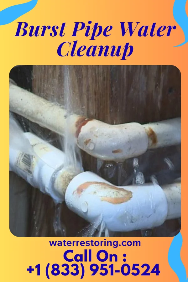 Burst Pipe Water Cleanup in Tri-City, OR